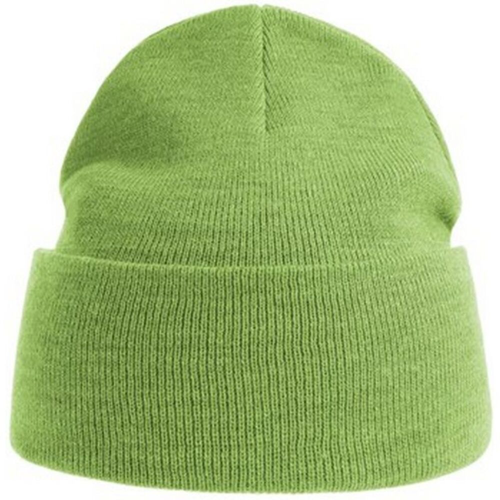 Atlantis Unisex Adult Pure Recycled Beanie / Acid Lime